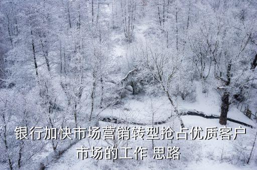  銀行加快市場(chǎng)營(yíng)銷(xiāo)轉(zhuǎn)型搶占優(yōu)質(zhì)客戶(hù)市場(chǎng)的工作 思路