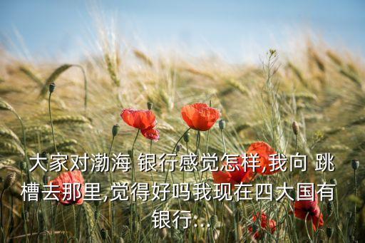大家對(duì)渤海 銀行感覺怎樣,我向 跳槽去那里,覺得好嗎我現(xiàn)在四大國有 銀行...