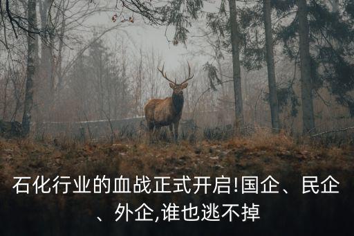 石化行業(yè)的血戰(zhàn)正式開(kāi)啟!國(guó)企、民企、外企,誰(shuí)也逃不掉
