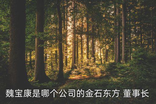 上海星鯊董事長,星鯊集團(tuán)歷屆董事長