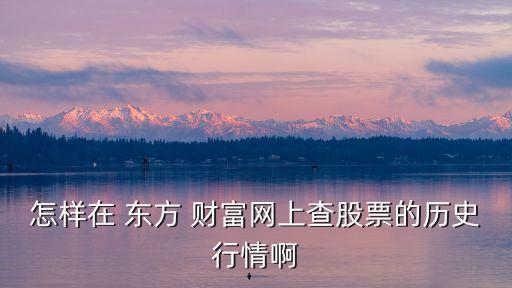 怎樣在 東方 財(cái)富網(wǎng)上查股票的歷史行情啊
