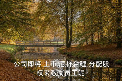  公司即將 上市,怎樣合理 分配股權(quán)來激勵(lì)員工呢