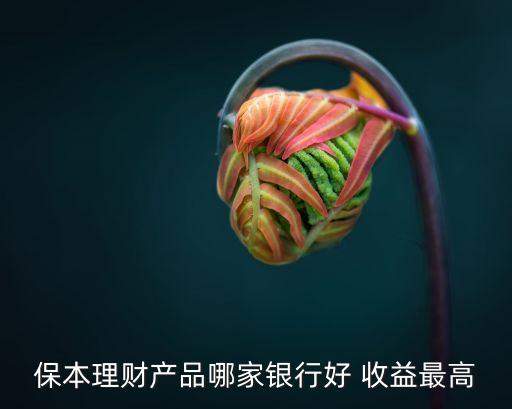 保本理財產品哪家銀行好 收益最高