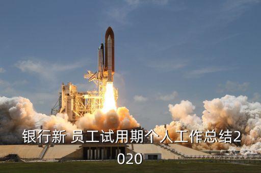  銀行新 員工試用期個人工作總結(jié)2020