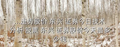 ...走勢股價 東興 證券今日技術(shù)分析 股票 東興 證券股價今天是多少錢