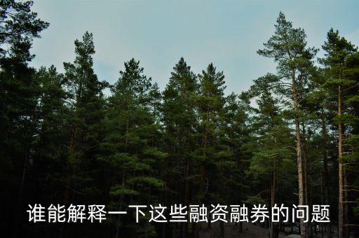 誰(shuí)能解釋一下這些融資融券的問(wèn)題