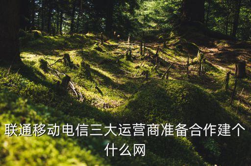 東營(yíng)鐵塔公司董事長(zhǎng)劉愛力