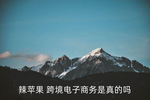 上?？缇畴娚腆w驗(yàn)店,跨境電商實(shí)戰(zhàn)平臺(tái)體驗(yàn)報(bào)告