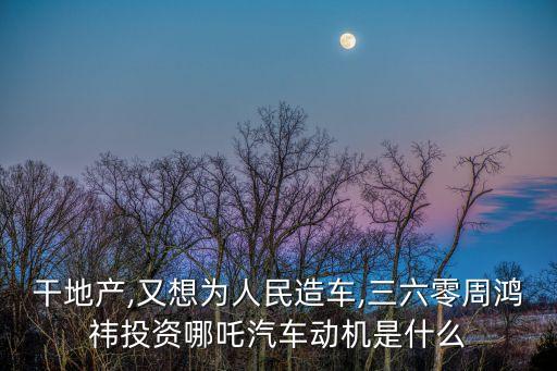 中國產商業(yè)顛覆者