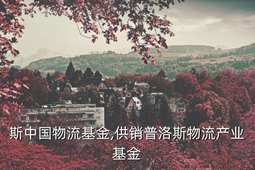 普洛斯中國(guó)物流基金,供銷(xiāo)普洛斯物流產(chǎn)業(yè)基金