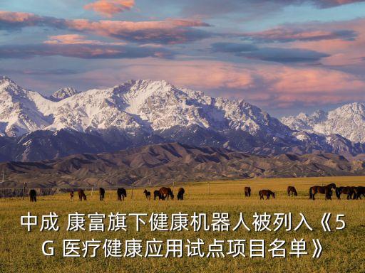 康富融資公司,中國康富是什么公司