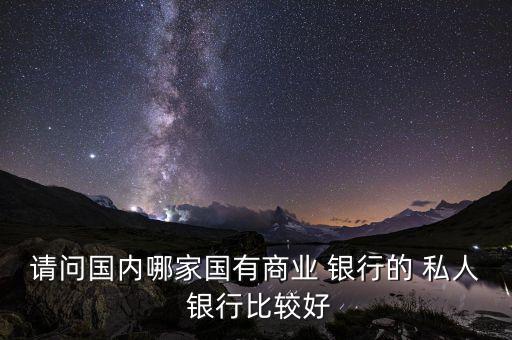 請(qǐng)問國(guó)內(nèi)哪家國(guó)有商業(yè) 銀行的 私人 銀行比較好