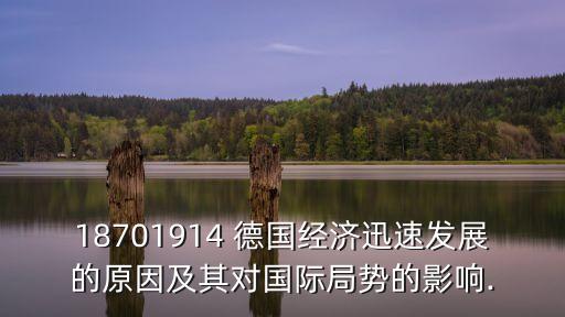 18701914 德國經(jīng)濟(jì)迅速發(fā)展的原因及其對國際局勢的影響.