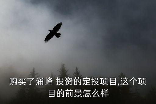 購買了涌峰 投資的定投項目,這個項目的前景怎么樣