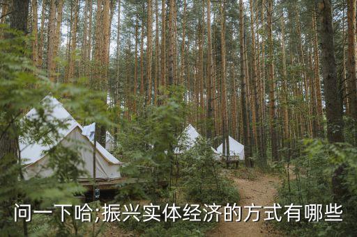 問一下哈;振興實體經(jīng)濟的方式有哪些