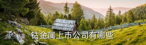 鈷金屬上市公司有哪些