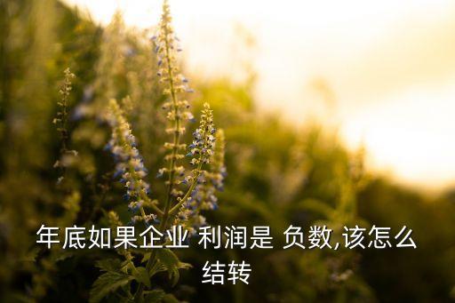 年底如果企業(yè) 利潤是 負數(shù),該怎么結轉(zhuǎn)