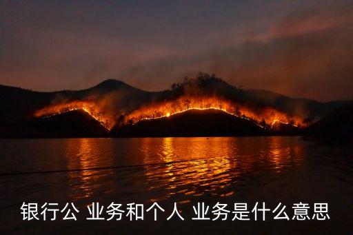 銀行公 業(yè)務(wù)和個(gè)人 業(yè)務(wù)是什么意思