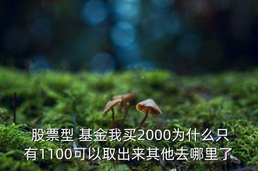 股票型 基金我買2000為什么只有1100可以取出來(lái)其他去哪里了