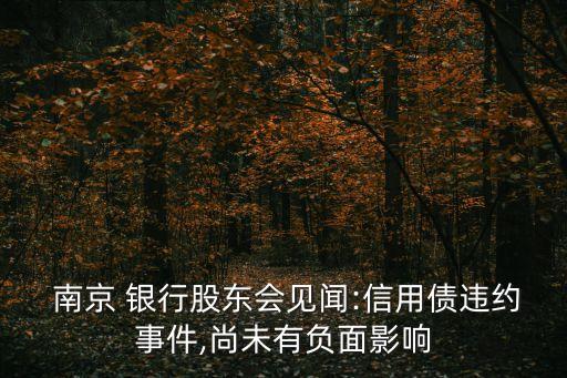  南京 銀行股東會見聞:信用債違約事件,尚未有負(fù)面影響
