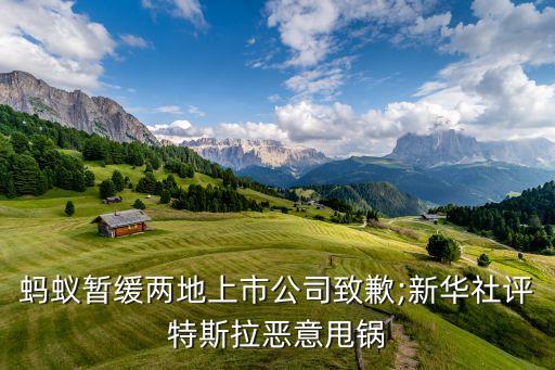 螞蟻暫緩兩地上市公司致歉;新華社評特斯拉惡意甩鍋