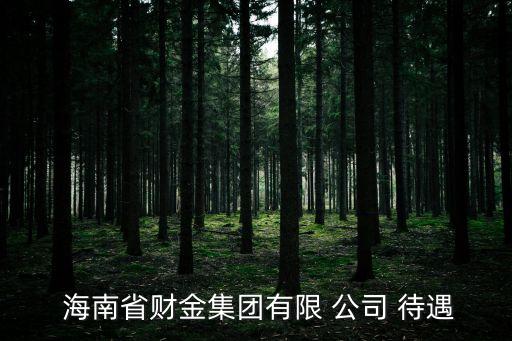  海南省財(cái)金集團(tuán)有限 公司 待遇