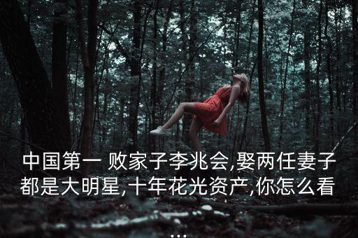 中國(guó)最有名的敗家子,你是全縣最有名的敗家子小說(shuō)