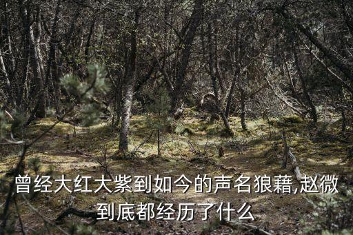 趙薇投資的軟件,中餐廳是趙薇投資的嗎