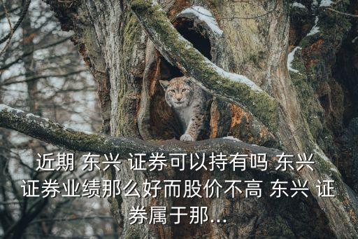 近期 東興 證券可以持有嗎 東興 證券業(yè)績那么好而股價不高 東興 證券屬于那...