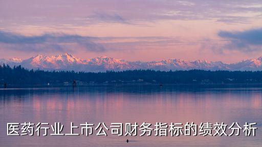 醫(yī)藥行業(yè)上市公司財務(wù)指標的績效分析