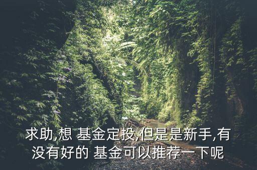 華廈復(fù)興基金,華夏優(yōu)勢基金凈值