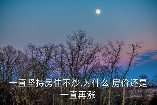 一直堅持房住不炒,為什么 房價還是一直再漲
