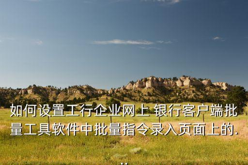 如何設(shè)置工行企業(yè)網(wǎng)上 銀行客戶(hù)端批量工具軟件中批量指令錄入頁(yè)面上的...