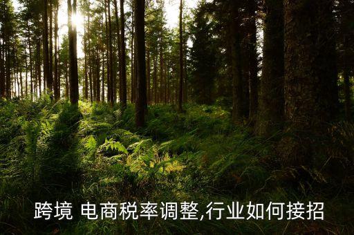  跨境 電商稅率調(diào)整,行業(yè)如何接招