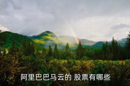  阿里巴巴馬云的 股票有哪些