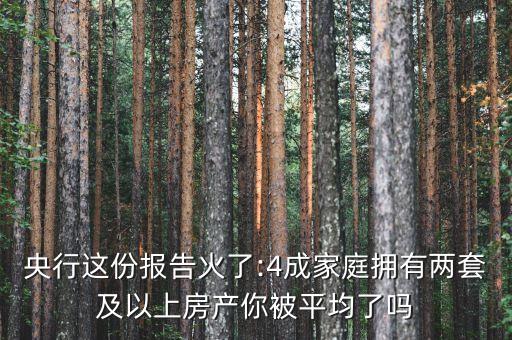 央行這份報(bào)告火了:4成家庭擁有兩套及以上房產(chǎn)你被平均了嗎