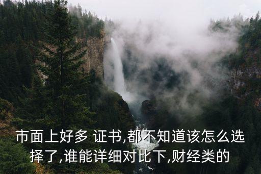 市面上好多 證書,都不知道該怎么選擇了,誰能詳細(xì)對比下,財(cái)經(jīng)類的