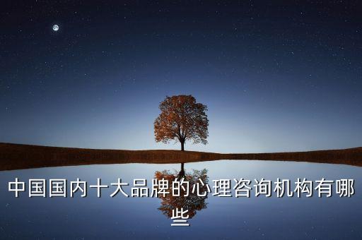 中國(guó)國(guó)內(nèi)十大品牌的心理咨詢機(jī)構(gòu)有哪些