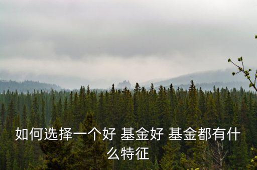 基金選擇的結構指標,混合基金選擇指標