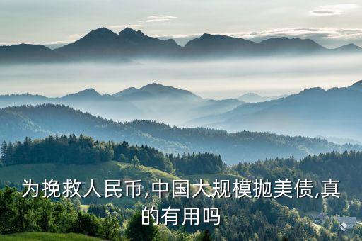 中國外匯4萬億美元怎么不花掉