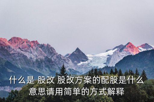 什么是 股改 股改方案的配股是什么意思請用簡單的方式解釋