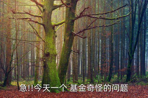 急!!今天一個(gè) 基金奇怪的問(wèn)題