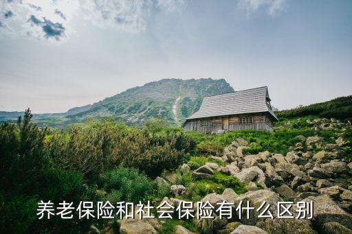 社保基金和養(yǎng)老金的區(qū)別,股票有社?；鸷宛B(yǎng)老金重倉