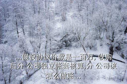 100萬公司收購(gòu),收購(gòu)鵝卵石100萬噸