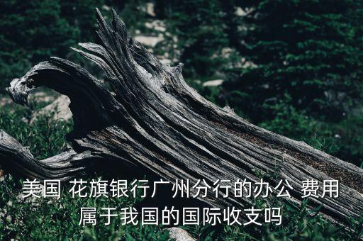美國 花旗銀行廣州分行的辦公 費(fèi)用屬于我國的國際收支嗎