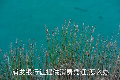  浦發(fā)銀行讓提供消費(fèi)憑證,怎么辦