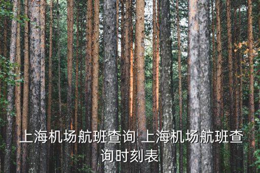 上海到歐洲航線,上海歐洲航線件雜重吊船價(jià)格