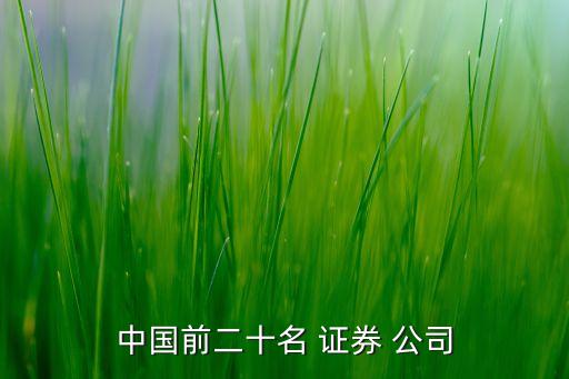 中國前二十名 證券 公司