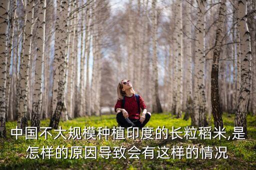 中國不大規(guī)模種植印度的長粒稻米,是怎樣的原因?qū)е聲?huì)有這樣的情況