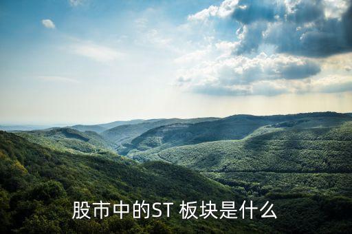 股市中的ST 板塊是什么